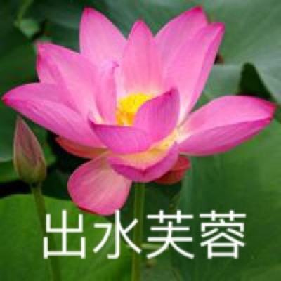 梦幻无双游戏下载